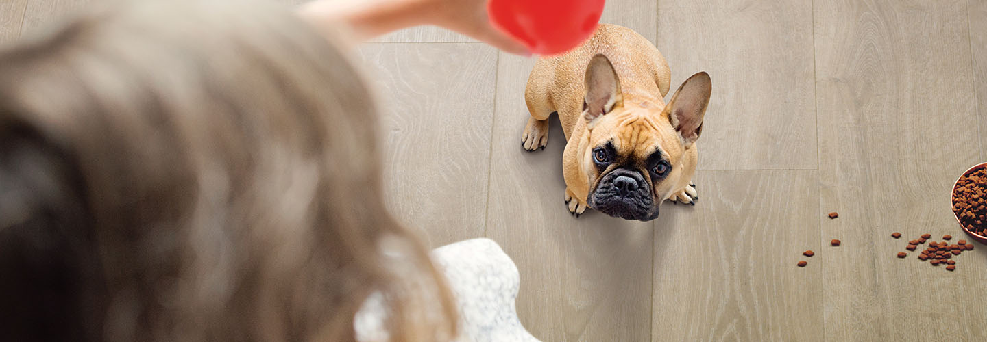 Best flooring choices with pets